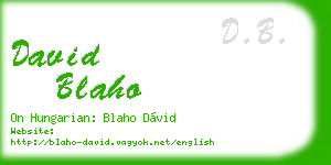 david blaho business card