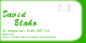 david blaho business card